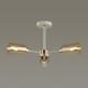 Люстра на штанге Lumion Dallin 5639/3C