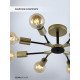 Люстра на штанге Seven Fires Evlina SF3370/8C-GD-BK