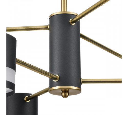 Люстра на штанге Lumion Lanika 8240/6C Люстра на штанге Lumion Lanika 8240/6C