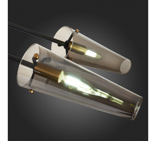 Люстра на штанге ST Luce Morave SL1209.302.06 Люстра на штанге ST Luce Morave SL1209.302.06