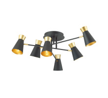 Потолочная люстра Lumion Liam 3790/6C