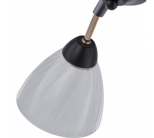 Люстра на штанге Arte Milano Napoli 324108/5 BK+FG Люстра на штанге Arte Milano Napoli 324108/5 BK+FG