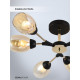 Люстра на штанге Seven Fires Inesh SF3368/6C-BK-FGD-AM