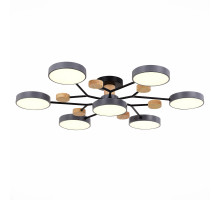 Люстра на штанге Evoluce Faema SLE6006-702-07