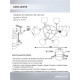 Люстра на штанге Seven Fires Aivor SF3364/6C-BK-FGD-AM