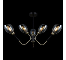 Люстра на штанге Illumico IL9960-6CSQ-79 BK AB