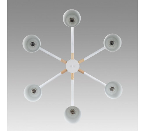 Люстра на штанге Lumion Rosalina 8097/6C Люстра на штанге Lumion Rosalina 8097/6C