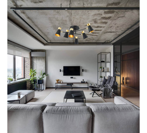 Потолочная люстра Lumion Liam 3790/6C