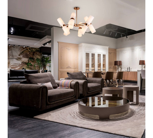 Люстра на штанге F-Promo 2617-12P