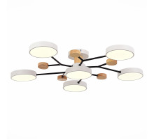 Люстра на штанге Evoluce Faema SLE6006-502-06