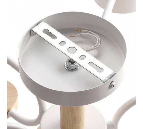 Люстра на штанге Lumion Rondo 8231/6C Люстра на штанге Lumion Rondo 8231/6C