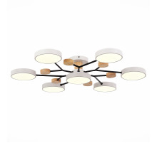 Люстра на штанге Evoluce Faema SLE6006-502-07