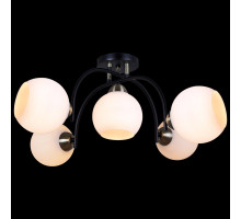 Люстра на штанге Illumico IL0250-5CSQ-79 BK AB