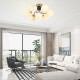 Потолочная люстра Arte Milano Neapolis 276408/6+1 BK/GD
