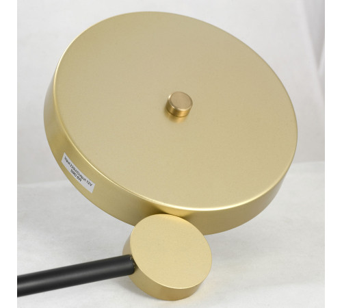 Потолочная светодиодная люстра Lussole Loft Gilbert LSP-8433