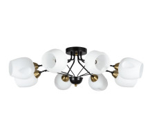 Потолочная люстра ARTE Lamp A2706PL-8CK