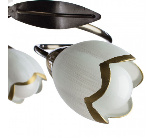 Потолочная люстра Arte Lamp 4 A6061PL-6AB Потолочная люстра Arte Lamp 4 A6061PL-6AB