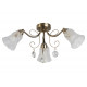 Потолочная люстра Toplight Charla TL7100X-03AB