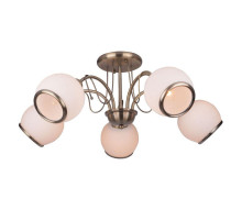 Потолочная люстра Toplight Octavia TL3760X-05AB