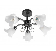 Потолочная люстра Toplight Magdalene TL3490X-05BC