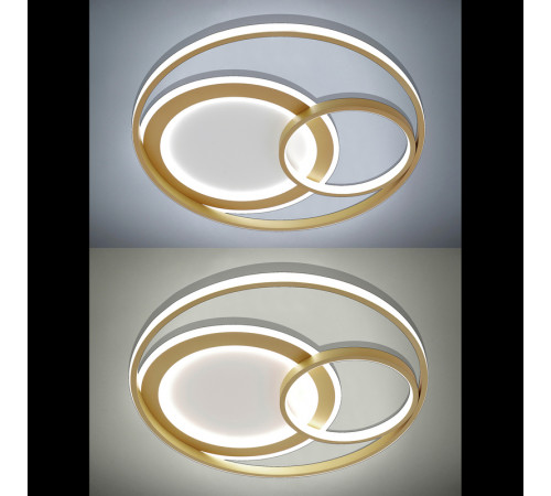 Потолочная люстра Natali Kovaltseva LED LAMPS 81312 Потолочная люстра Natali Kovaltseva LED LAMPS 81312