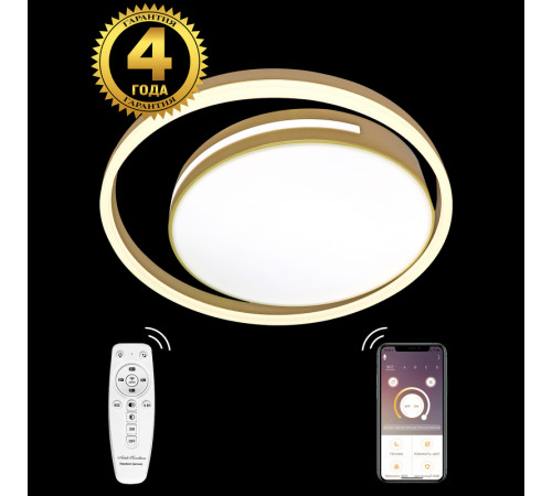 Потолочная люстра Natali Kovaltseva LED LAMPS 81304 Потолочная люстра Natali Kovaltseva LED LAMPS 81304