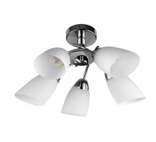 Потолочная люстра Toplight Carmel TL3600X-05CH