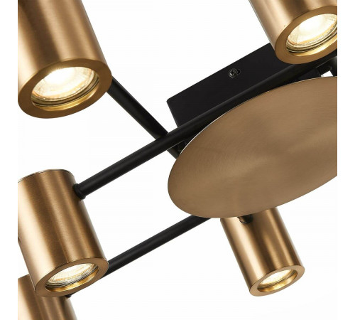 Потолочная люстра ST Luce Veroli SL1207.402.10 Потолочная люстра ST Luce Veroli SL1207.402.10
