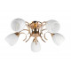 Потолочная люстра Toplight Lenore TL3530X-05FG