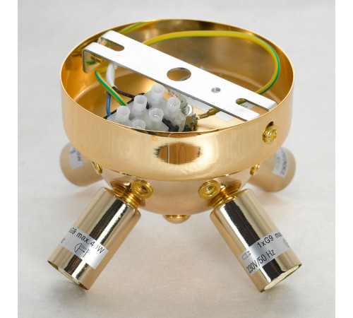 Потолочная люстра Lussole Davie LSP-8781 Потолочная люстра Lussole Davie LSP-8781