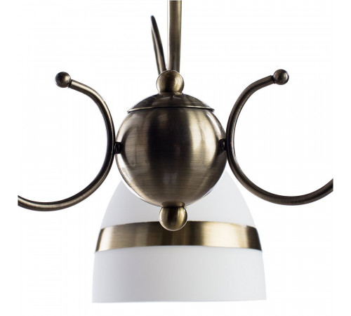 Потолочная люстра Arte Lamp 55 A6192PL-3AB Потолочная люстра Arte Lamp 55 A6192PL-3AB