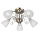 Потолочная люстра Toplight Brooke TL7110X-05AB