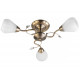 Потолочная люстра Toplight Lorin TL3570X-03AB