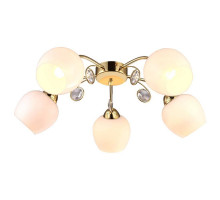 Потолочная люстра Arte Lamp Millo A9549PL-5GO