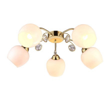 Потолочная люстра Arte Lamp Millo A9549PL-5GO