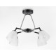 Потолочная люстра Ambrella Light Modern TR303293
