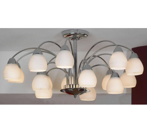Потолочная люстра Lussole Apiro LSF-2403-15 Потолочная люстра Lussole Apiro LSF-2403-15
