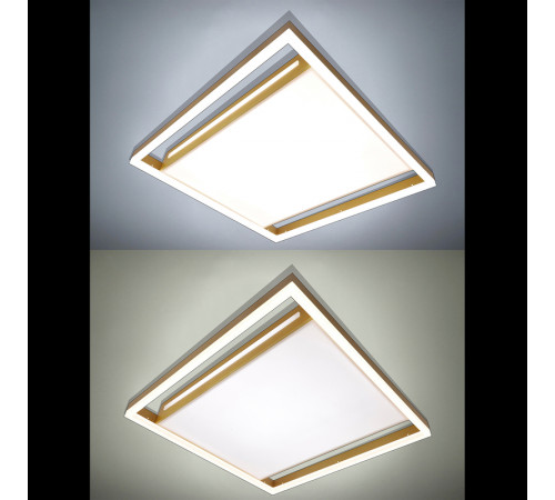 Потолочная люстра Natali Kovaltseva LED LAMPS 81307 Потолочная люстра Natali Kovaltseva LED LAMPS 81307