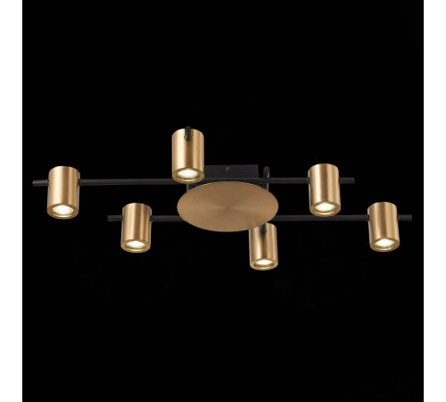 Потолочная люстра ST Luce Veroli SL1207.402.06 Потолочная люстра ST Luce Veroli SL1207.402.06