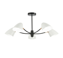 Потолочная люстра EVOLUCE SATTA SLE103602-05