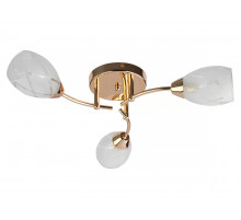 Потолочная люстра Toplight Lucy TL7120X-03FG