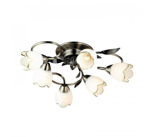 Потолочная люстра Arte Lamp 4 A6061PL-6AB Потолочная люстра Arte Lamp 4 A6061PL-6AB