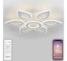 Потолочная люстра Natali Kovaltseva Led Series 551 LED LAMPS 81123/6C