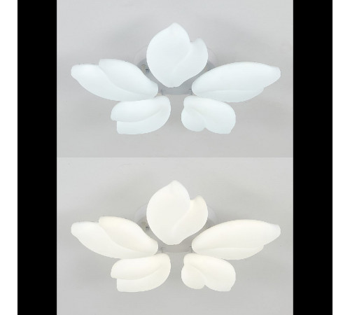 Потолочная люстра Natali Kovaltseva Effect LED LAMPS 81116 Потолочная люстра Natali Kovaltseva Effect LED LAMPS 81116