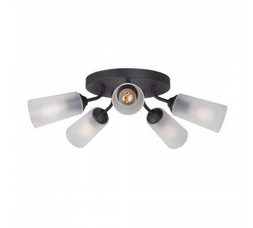 Потолочная люстра Vitaluce V3762-1/5PL Потолочная люстра Vitaluce V3762-1/5PL