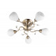 Потолочная люстра Toplight Lorin TL3570X-05AB