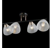 Потолочная люстра Illumico IL0739-4CSQ-24 BK FGD ARIES
