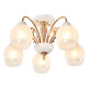 Потолочная люстра MyFar Nika MR1671-5C
