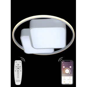 Потолочная люстра Natali Kovaltseva HIGH-TECH LED LAMPS 82002