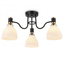 Потолочная люстра Ambrella Light Modern TR303303